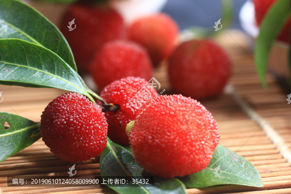 楊梅