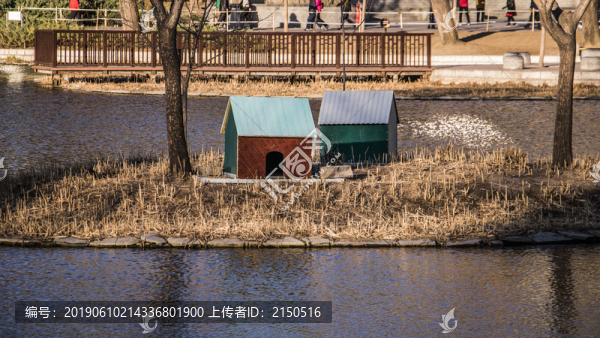 鳥屋