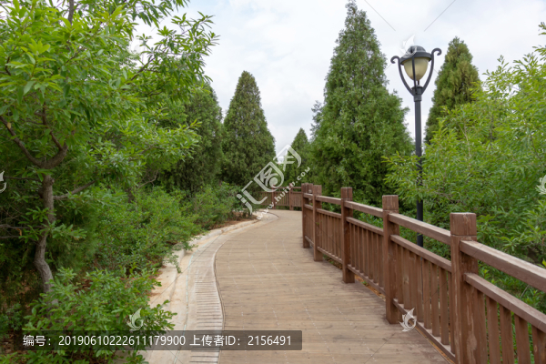 木棧道