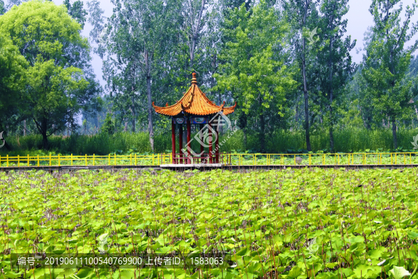 荷塘涼亭