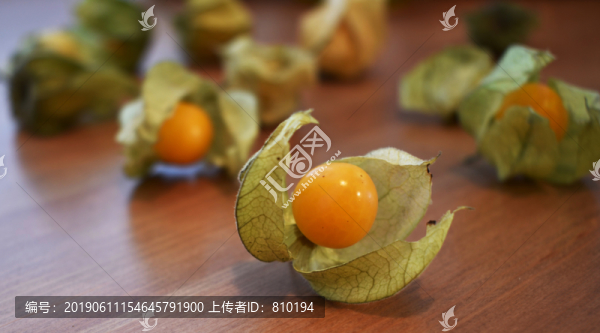 漿果