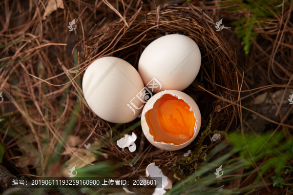 土雞蛋特寫