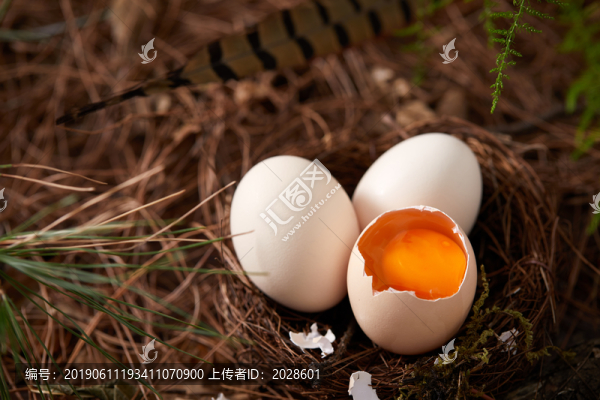 土雞蛋特寫