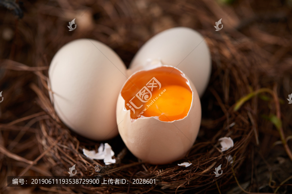 土雞蛋特寫