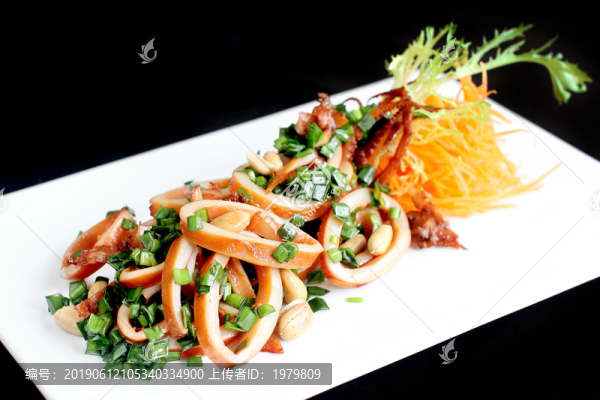 魷魚圈
