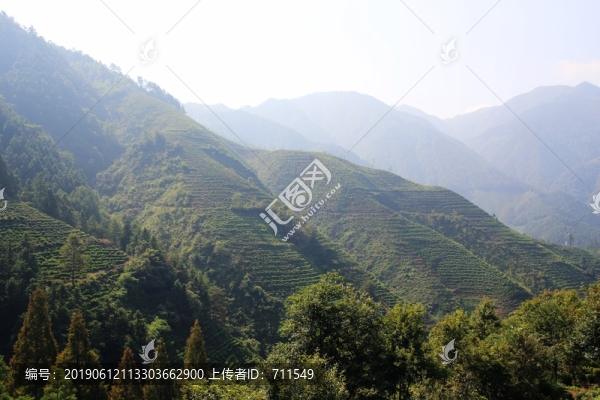 徽州大山