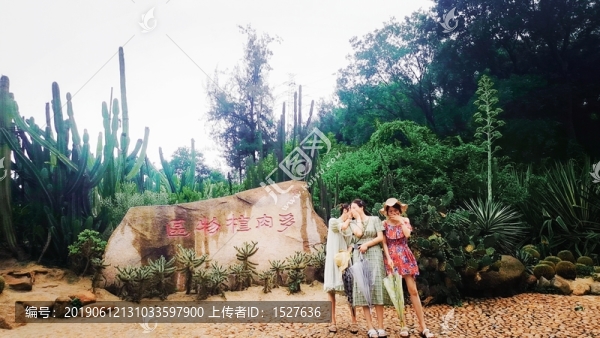 多肉植物區(qū)