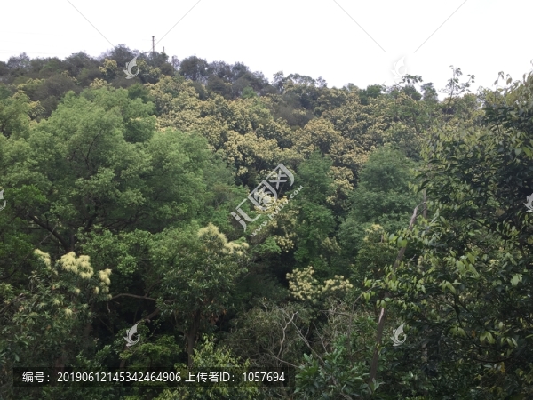 新會(huì)圭峰山美景