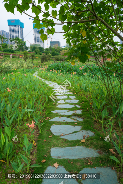 石頭石板路鄉(xiāng)間小路