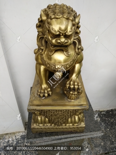 動(dòng)物