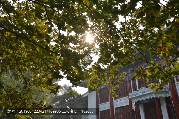 北京大學校園