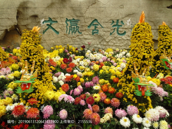 公園菊花展