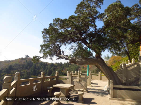龍山迎客