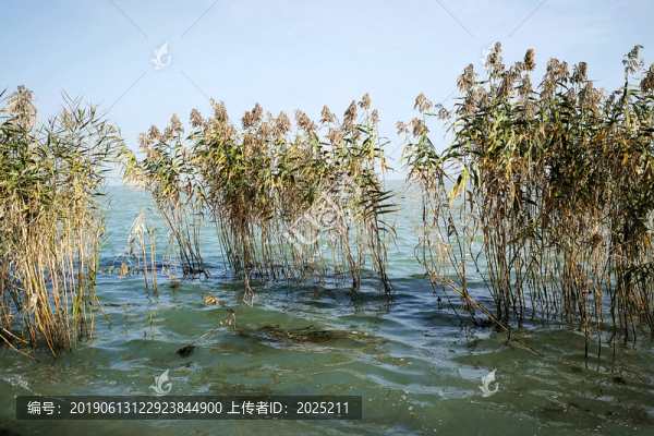 太湖