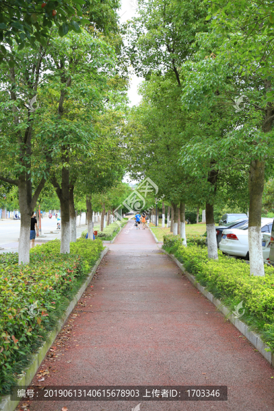 橡膠跑道