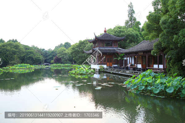 曲院風(fēng)荷景區(qū)