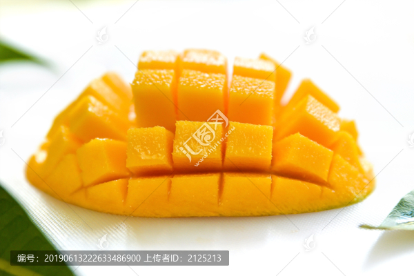 芒果芒果園芒果樹(shù)
