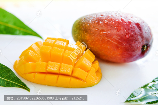 芒果芒果園芒果樹