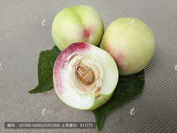 采摘鮮桃