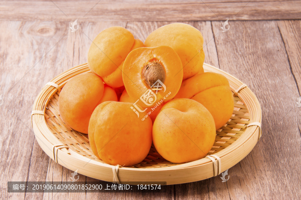 山西大黃