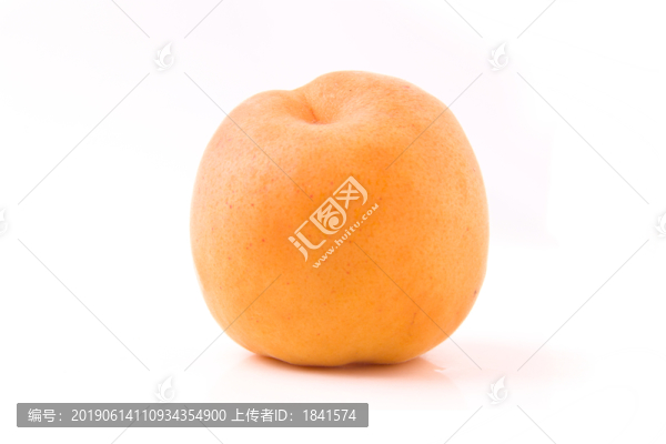 山西大黃杏