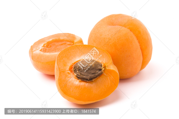 山西大黃杏
