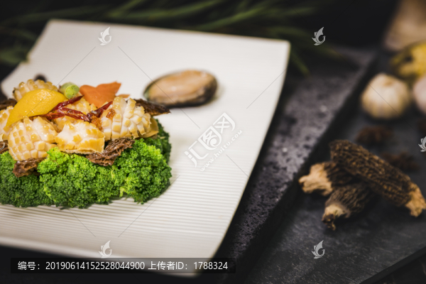 碧綠鮮鮑羊肚菌4