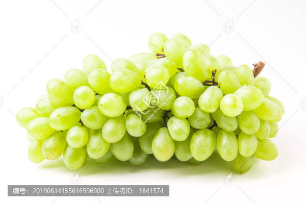 提子