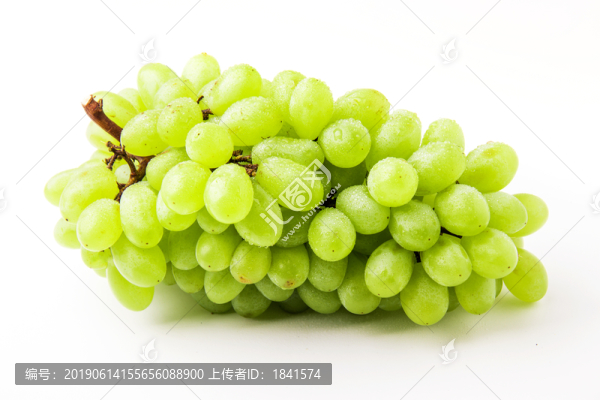 青葡萄