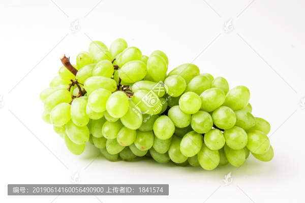 葡萄