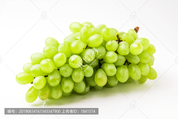 青葡萄