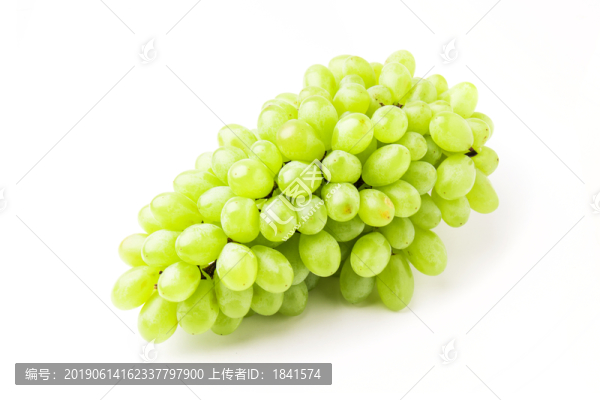 葡萄
