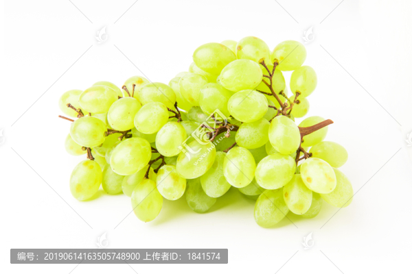 葡萄