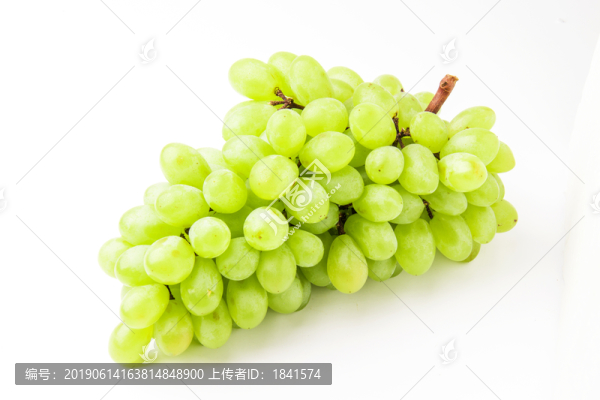 提子