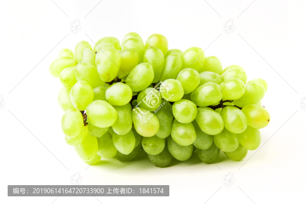 提子