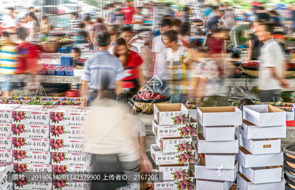 仙梅上市