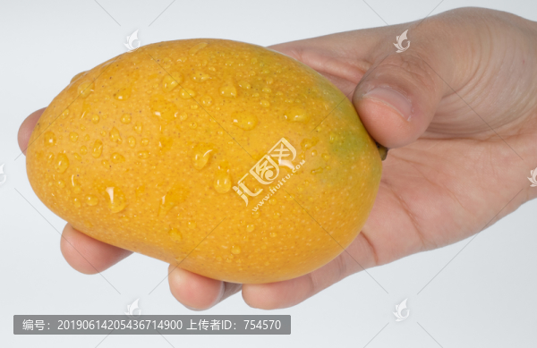 手中拿著新鮮欲滴的小臺芒