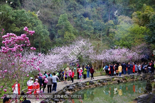 桃花源