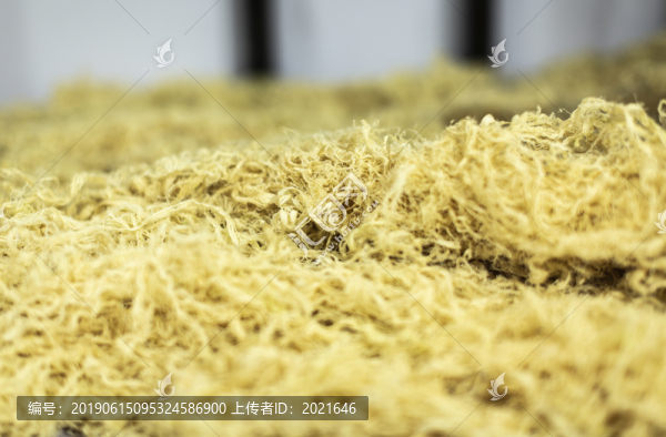 竹茹