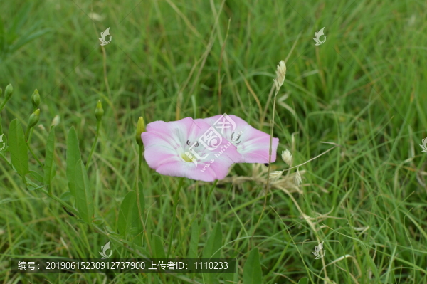 牽?；? title=