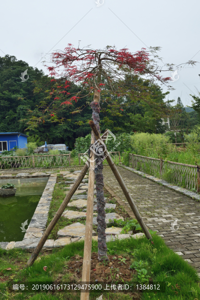 美麗鄉(xiāng)村
