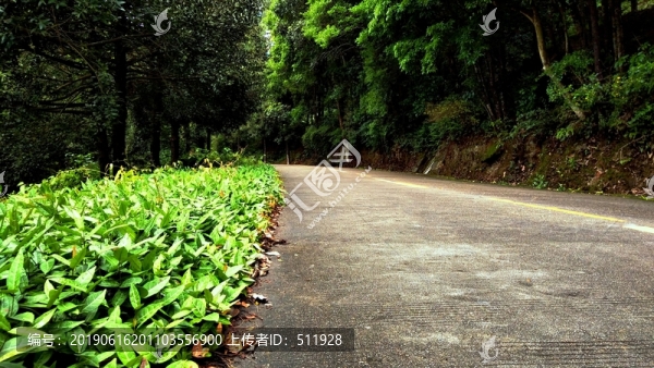 泉州仙公山