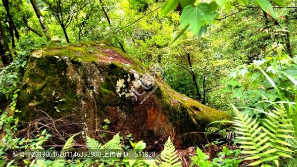 泉州仙公山