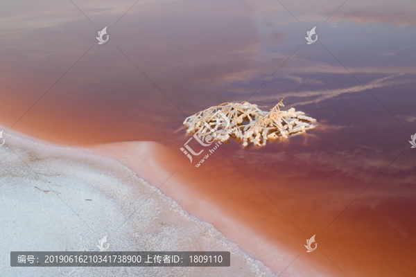 鹽湖