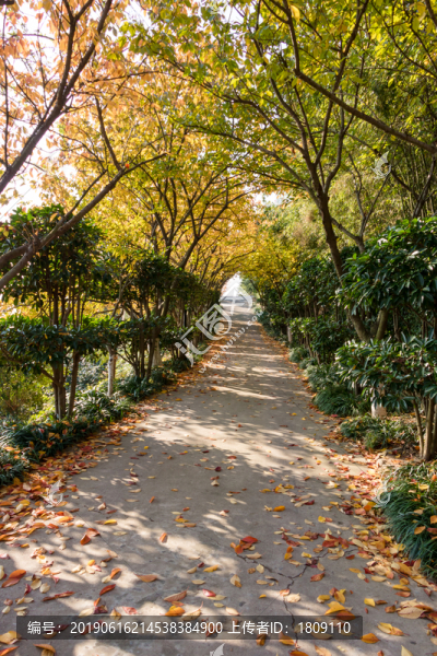 秋天公園景觀