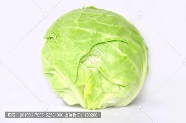 包心菜