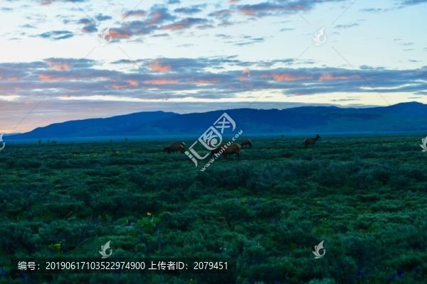 美國(guó)大提頓國(guó)家公園自然風(fēng)光欣賞