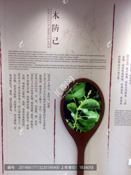 中草藥材