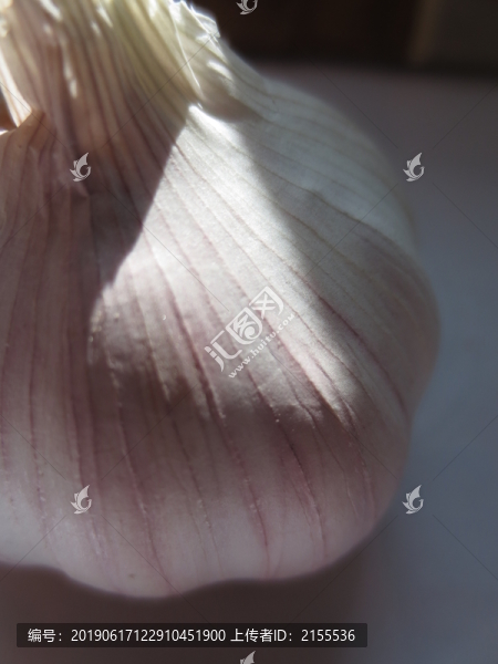蒜