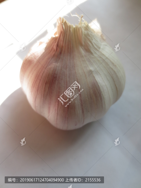 蒜